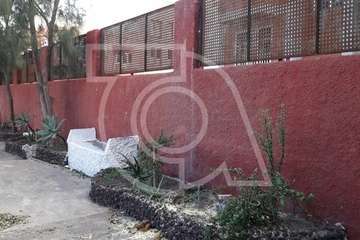 Críticas por la tala de un viejo árbol en Clavellinas (Foto TA)