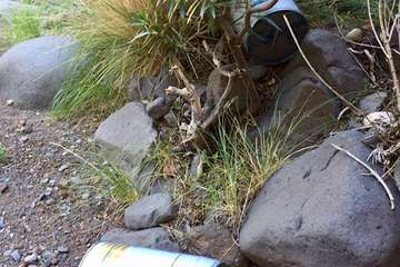 Vertido de latas de pinturas y pozo abierto en el Barranco del Draguillo (Foto TA)