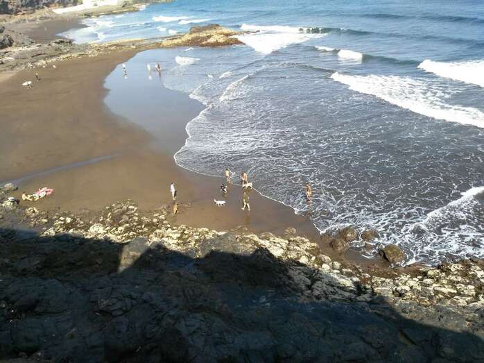 Los denunciantes aseguran que han llegado a ver hasta 11 perros a la vez en la playa (Foto TA)