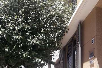 Árboles que entran por las ventanas en Clavellinas-Telde (Foto TA)