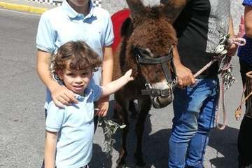 Protagonismo infantil en las procesiones del Domingo de Ramos en Telde (Foto TA)