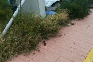  El incivismo se ceba con Cuatro Puertas (Foto TA)