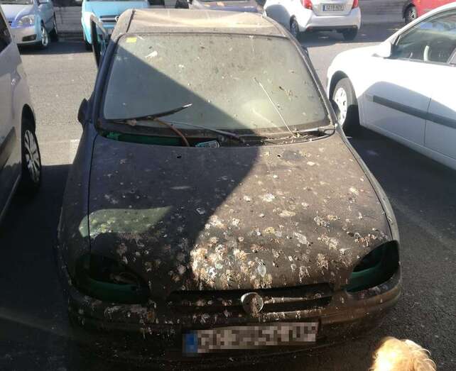 El vehículo se encuentra en el más absoluto abandono (Foto TA)