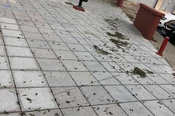 La plaza de Las Longueras espera por una limpieza profunda (Foto TA)