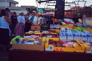 Romería popular en La Garita (Foto TA y TF)