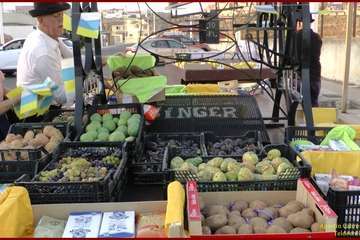 Romería popular en La Garita (Foto TA y TF)