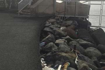 Imágenes del vertedero en que se ha convertido el muelle de Taliarte, en unas imágenes tomadas ayer sábado por un lector de TELDEACTUALIDAD.