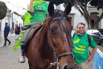 Un caballo se suma a la campaña electoral de Los Verdes en Telde (Foto TA)