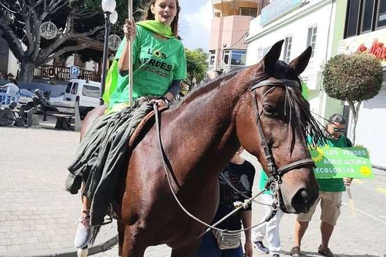 Un caballo se suma a la campaña electoral de Los Verdes en Telde (Foto TA)