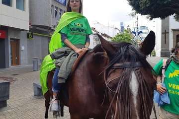 Un caballo se suma a la campaña electoral de Los Verdes en Telde (Foto TA)