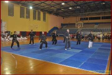 El Polideportivo Insular Rita Hernández acogió este sábado una exhibición de Tae Kwon-Do y Hap Ki-Do  (Foto TF)