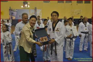 El Polideportivo Insular Rita Hernández acogió este sábado una exhibición de Tae Kwon-Do y Hap Ki-Do  (Foto TF)