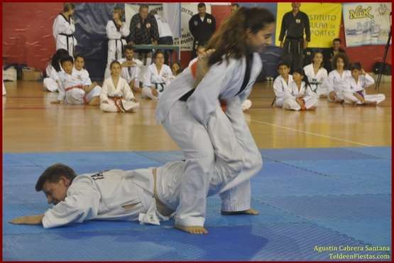 El Polideportivo Insular Rita Hernández acogió este sábado una exhibición de Tae Kwon-Do y Hap Ki-Do  (Foto TF)