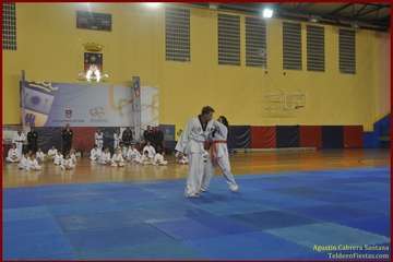 El Polideportivo Insular Rita Hernández acogió este sábado una exhibición de Tae Kwon-Do y Hap Ki-Do  (Foto TF)