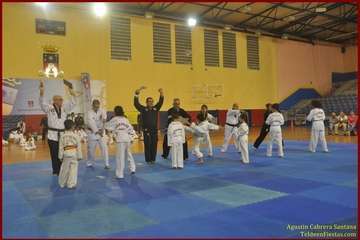 El Polideportivo Insular Rita Hernández acogió este sábado una exhibición de Tae Kwon-Do y Hap Ki-Do  (Foto TF)
