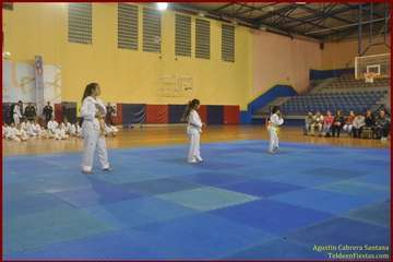 El Polideportivo Insular Rita Hernández acogió este sábado una exhibición de Tae Kwon-Do y Hap Ki-Do  (Foto TF)