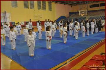 El Polideportivo Insular Rita Hernández acogió este sábado una exhibición de Tae Kwon-Do y Hap Ki-Do  (Foto TF)