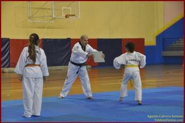 El Polideportivo Insular Rita Hernández acogió este sábado una exhibición de Tae Kwon-Do y Hap Ki-Do  (Foto TF)