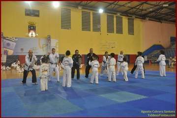 El Polideportivo Insular Rita Hernández acogió este sábado una exhibición de Tae Kwon-Do y Hap Ki-Do  (Foto TF)