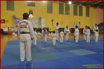 El Polideportivo Insular Rita Hernández acogió este sábado una exhibición de Tae Kwon-Do y Hap Ki-Do  (Foto TF)