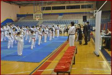 El Polideportivo Insular Rita Hernández acogió este sábado una exhibición de Tae Kwon-Do y Hap Ki-Do  (Foto TF)