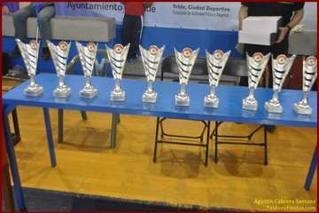 El Polideportivo Insular Rita Hernández acogió este sábado una exhibición de Tae Kwon-Do y Hap Ki-Do  (Foto TF)