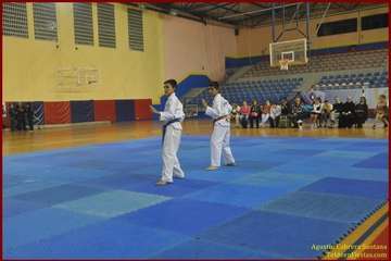 El Polideportivo Insular Rita Hernández acogió este sábado una exhibición de Tae Kwon-Do y Hap Ki-Do  (Foto TF)