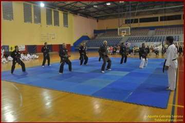 El Polideportivo Insular Rita Hernández acogió este sábado una exhibición de Tae Kwon-Do y Hap Ki-Do  (Foto TF)