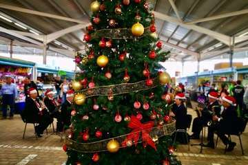 Concierto de la Banda Municipal de Música en el Mercado de Telde (Foto TA)