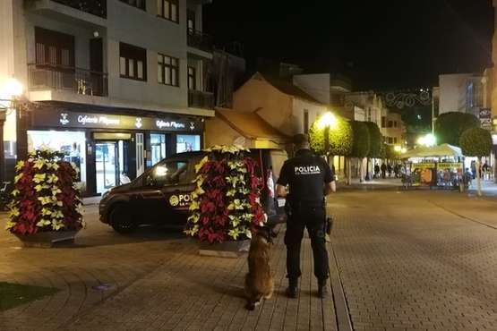 La Policía Canaria, en la zona comercial de Los Llanos y El Mirador (Foto TA)