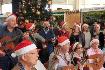  Gran Faycán anima el Mercado Municipal de Telde (Foto Francisco Javier Santana)