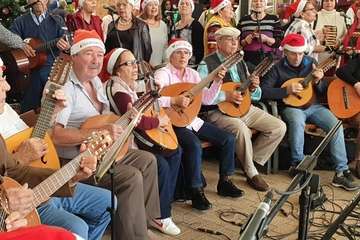  Gran Faycán anima el Mercado Municipal de Telde (Foto Francisco Javier Santana)