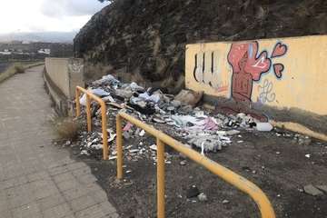 Estado de total abandono de la calle que une Eucaliptos II con la zona industrial Ajimar, en el Valle de Jinámar (Foto TA)