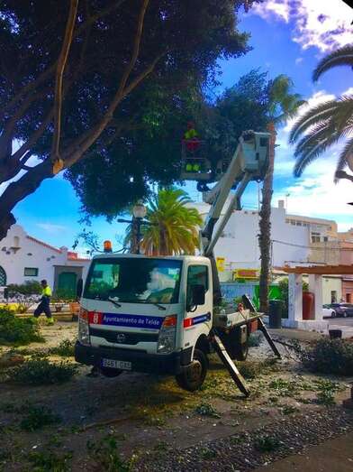 Intervención de los operarios de Parques y Jardines en la Plazoleta Doña Rafaela (Foto TA)