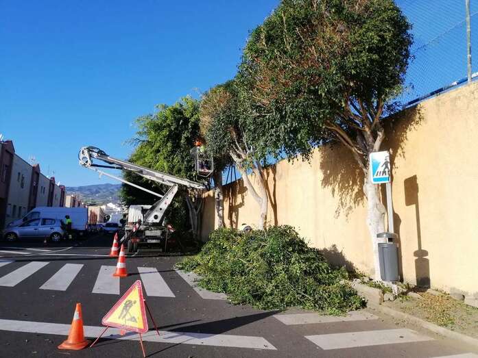 Operarios podando los árboles de la calle de Roques del Salmor (Foto Antonio Alí)