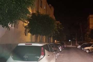 Una sola farola y árboles sin podar en la calle de Tasarte, en Las Longueras (Foto TA)