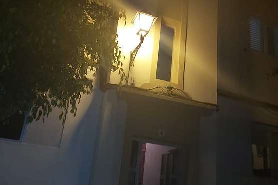 Una sola farola y árboles sin podar en la calle de Tasarte, en Las Longueras (Foto TA)