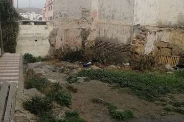  Solares de Los Llanos, territorio de roedores (Foto TA)
