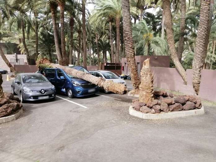 Estado en que quedó el vehículo (Foto TA)