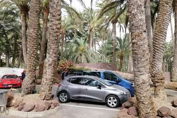 La caída de una palmera causa daños a una furgoneta en el oasis de Maspalomas (Foto Antonio AlÃ¯ y TA)