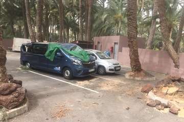 La caída de una palmera causa daños a una furgoneta en el oasis de Maspalomas (Foto Antonio AlÃ¯ y TA)