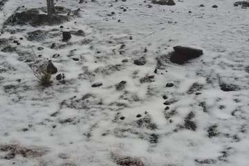 Hielo y nieve en la cumbre de Gran Canaria (FotoTA)