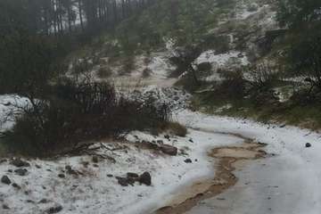 Hielo y nieve en la cumbre de Gran Canaria (FotoTA)