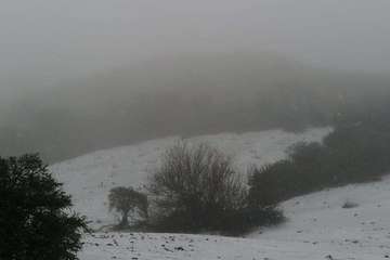 Hielo y nieve en la cumbre de Gran Canaria (FotoTA)