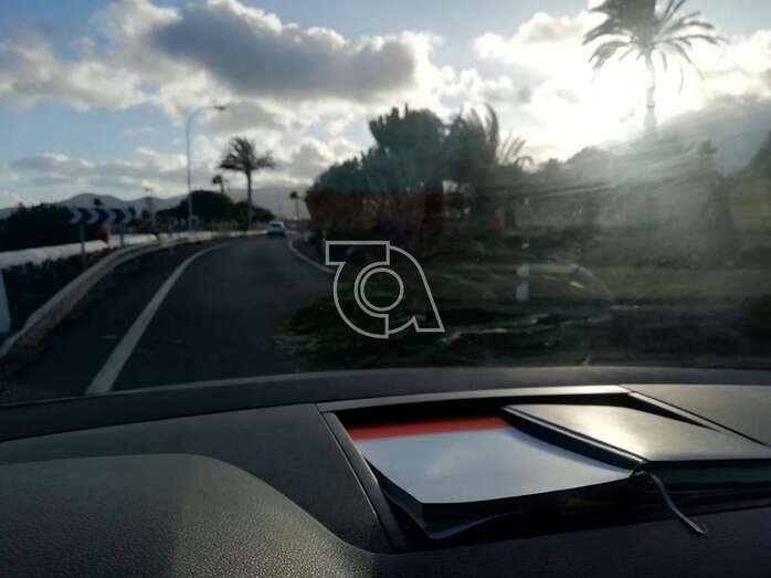 Imagen del cactus caído captada por un colaborador de TA.