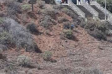 Los centros de salud de San Gregorio y Jnámar se someten a una desinfección (Foto TA)