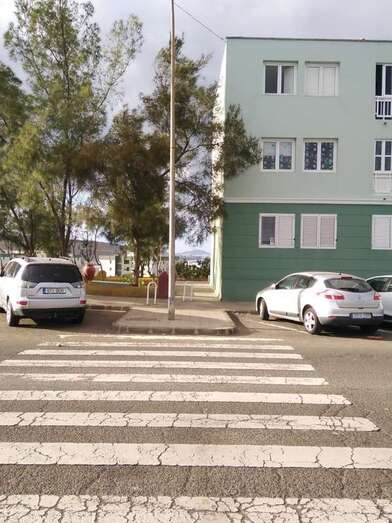 Los vecinos del portal 49 de la calle de Fernando Sagaseta pide que se pode un pino próximo a las viviendas (Foto TA)