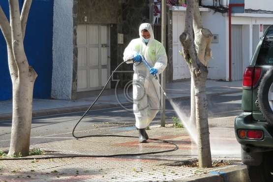 Parques y Jardines desinfecta la rambla central de Salinetas (Foto TA)