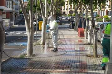 Parques y Jardines desinfecta la rambla central de Salinetas (Foto TA)