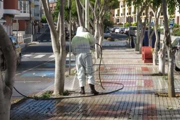Parques y Jardines desinfecta la rambla central de Salinetas (Foto TA)